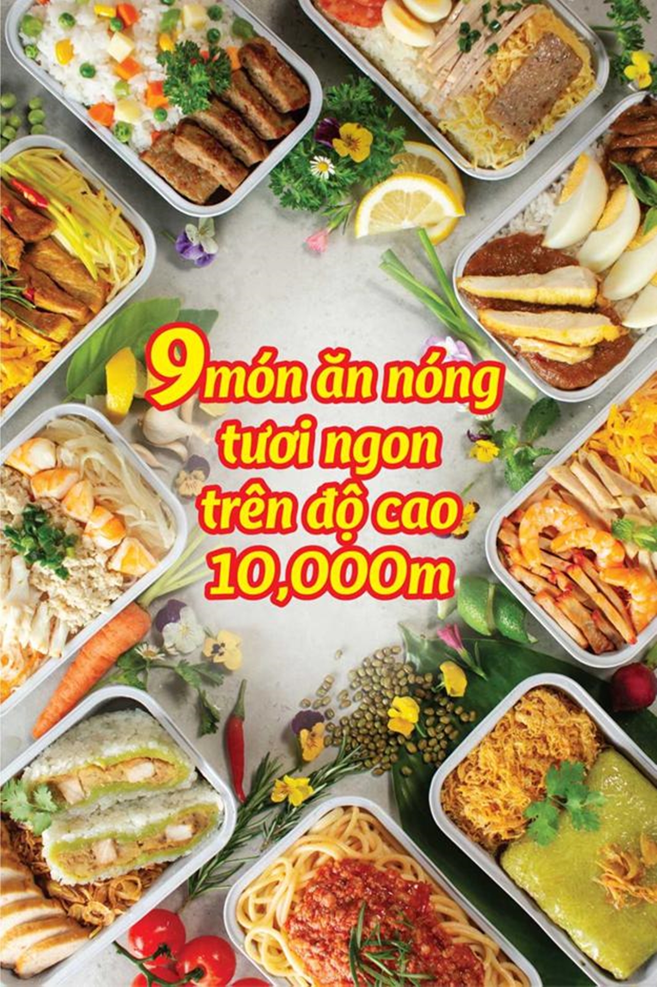 Vietjet   8.3 Promotion (5)