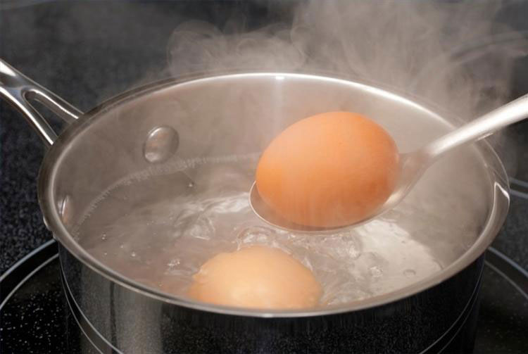 Egg 1