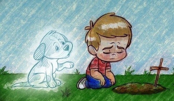 Losing A Pet Hurts More Than People Think 1