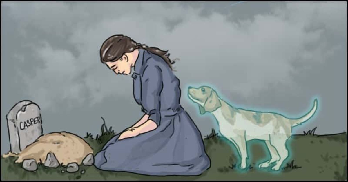 Pet1200