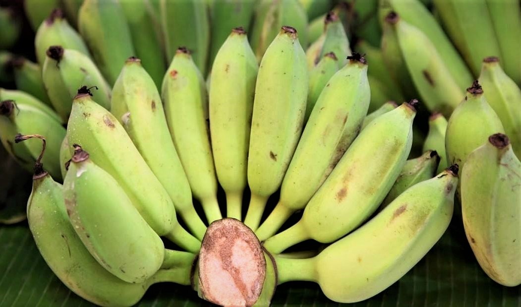 ចេក_ណាំវ៉ា_