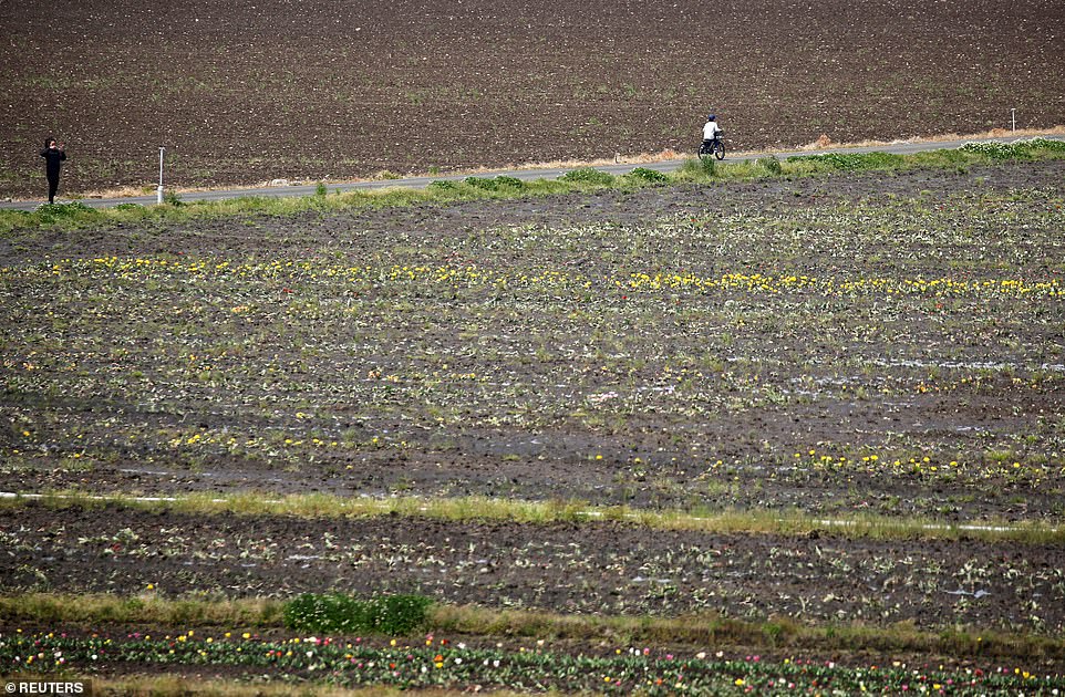 27502326 8244501 A_woman_takes_a_photograph_of_the_gutted_gardens_as_a_man_cycles A 3_1587553392394