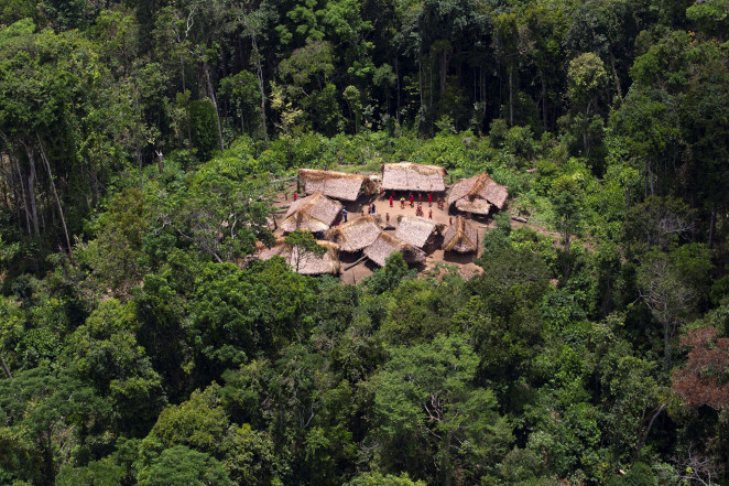 Brazil Tribe Virus 02