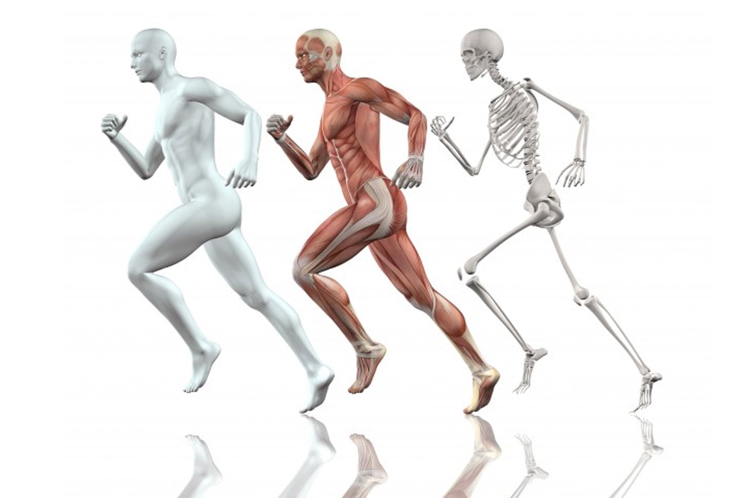 Strengthening Bones