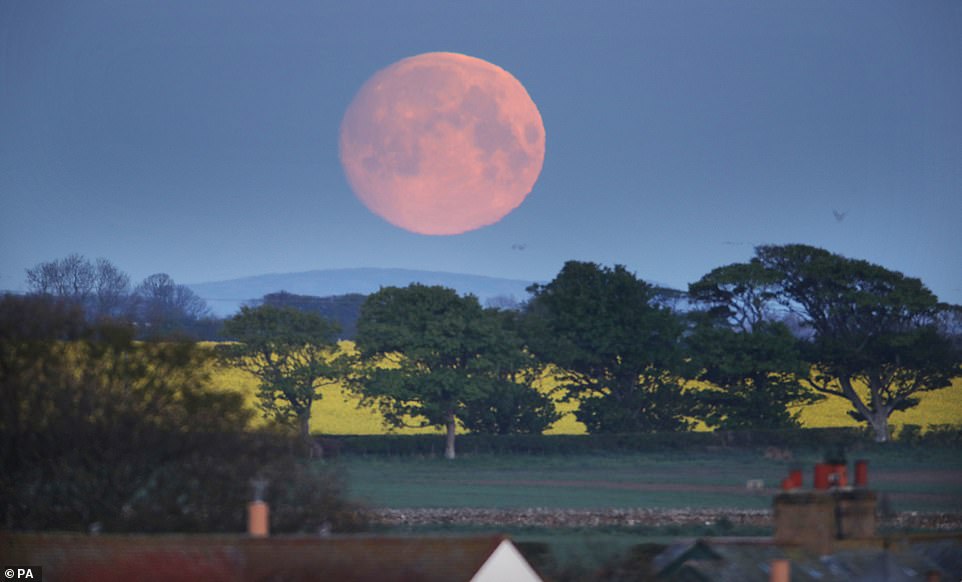 28064806 8291121 This_full_moon_will_be_a_supermoon_meaning_it_will_be_about_six_ A 6_1588760962467