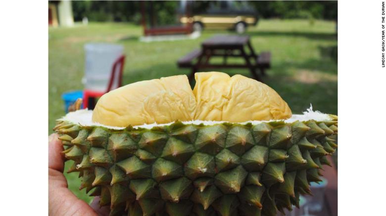 180809105853 Year Of The Durian Hybrid Durian Kuala Kangsar Agritourism Park Exlarge 169