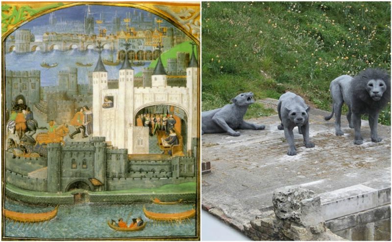 During The 18th Century You Could Pay Out Your Admission To The Zoo In London By Bringing A Cat Or A Dog To Feed The Lions 5