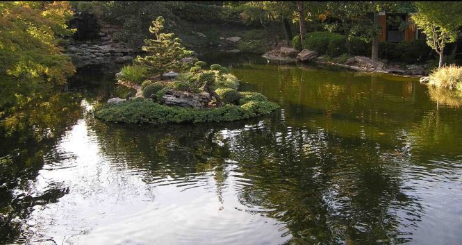Figure 510 Ornamental Ponds And Water Gardens In Texas