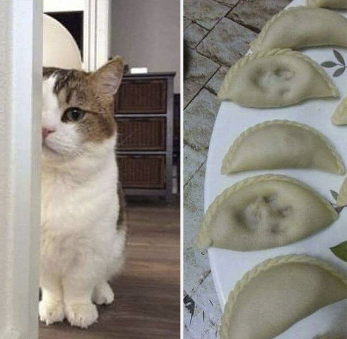 Unexplainable Photos 1_medium