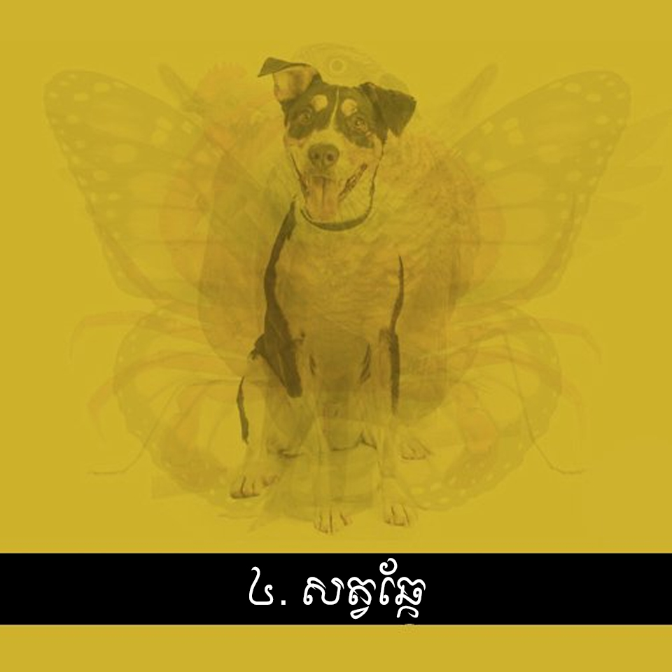4