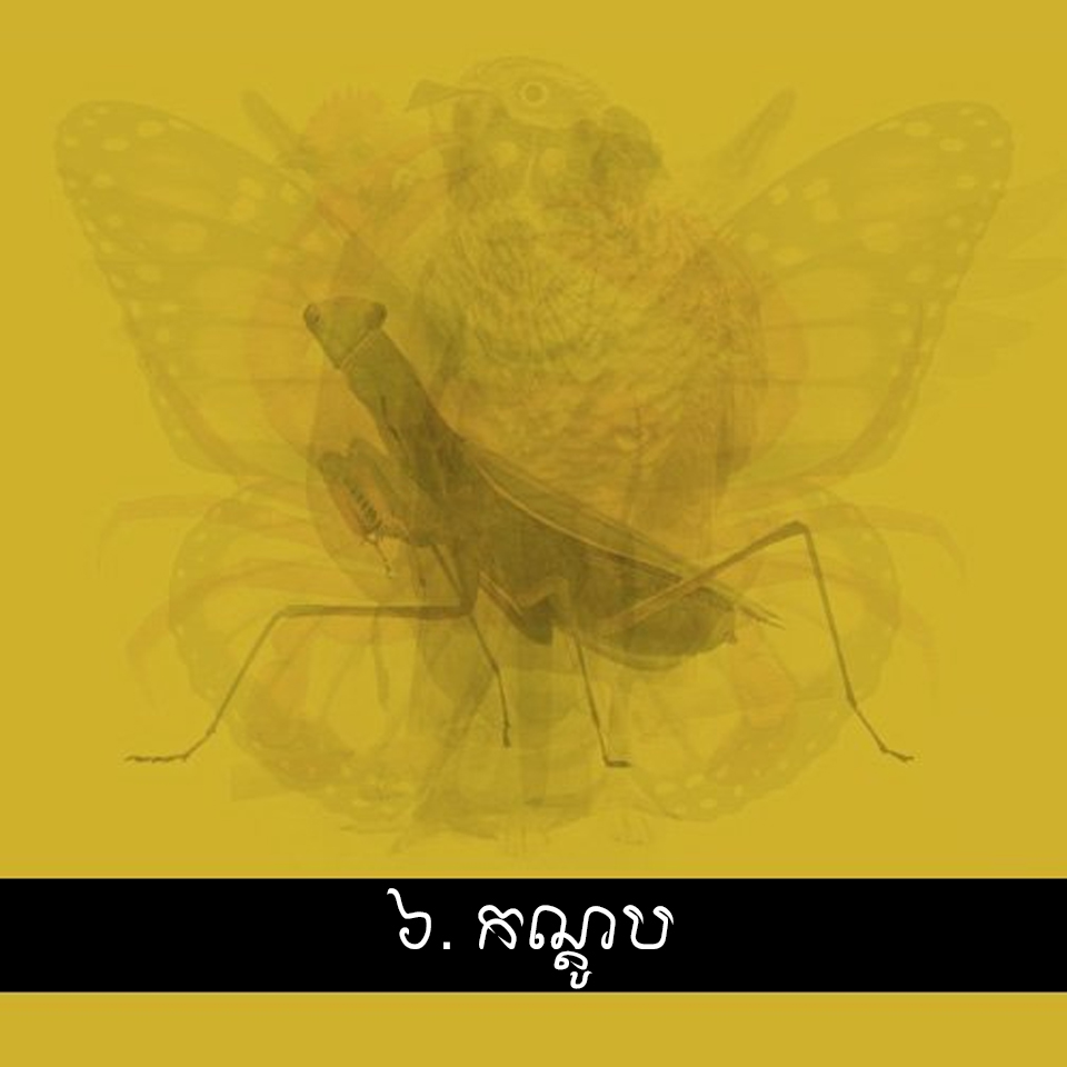 6