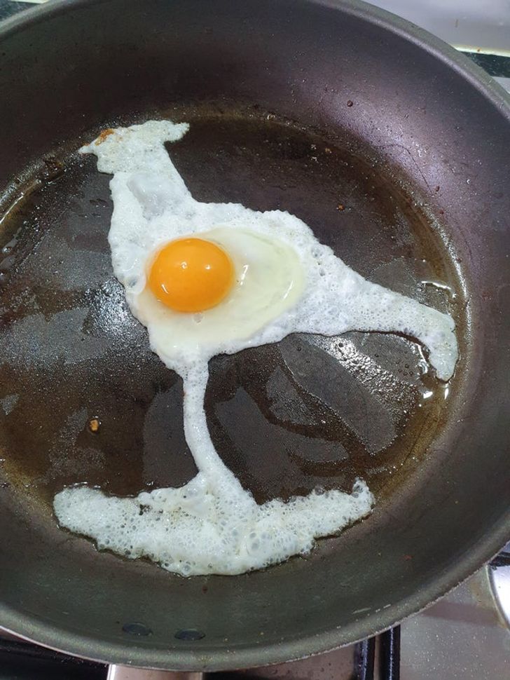 Cracked An Egg And It Became A Rooster In The Pan
