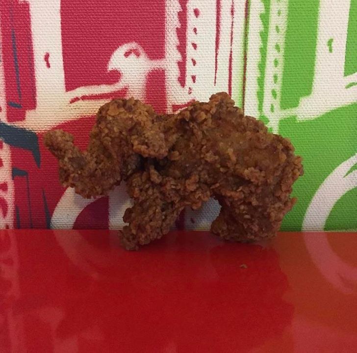 My Chicken Strip From A Delivery Order Looks Like An Elephant.