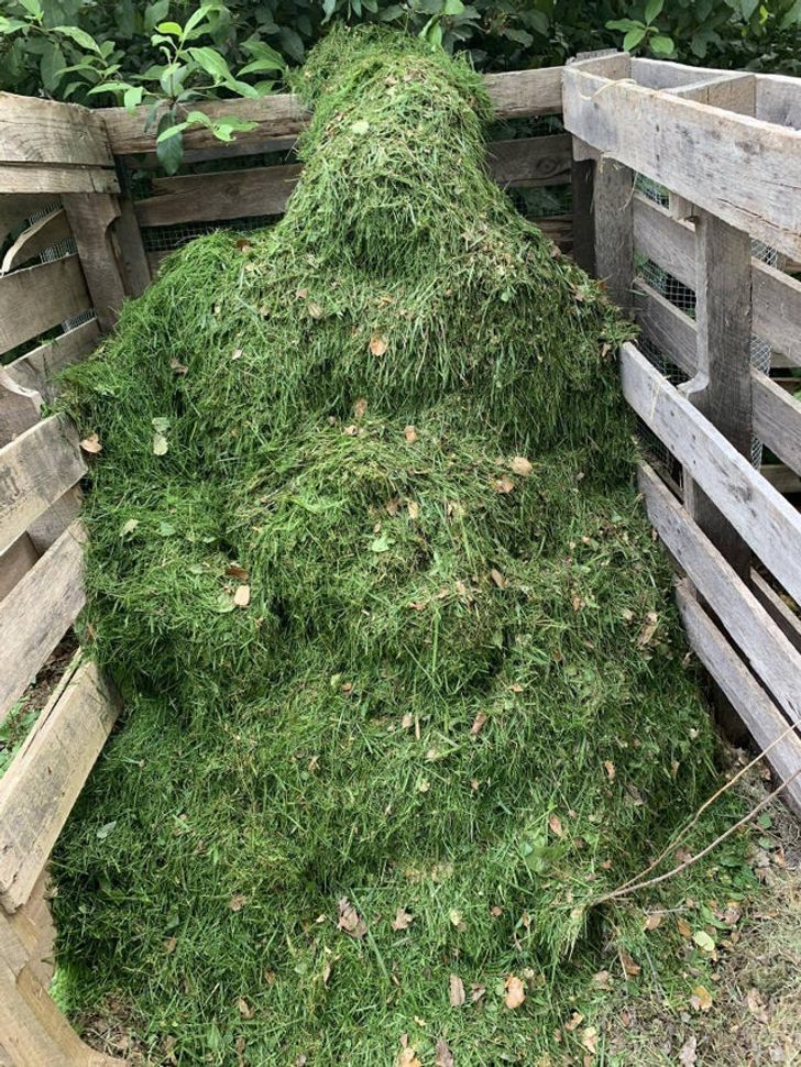 My Grass Compost Pile Looks Like A Grass Covered Gorilla