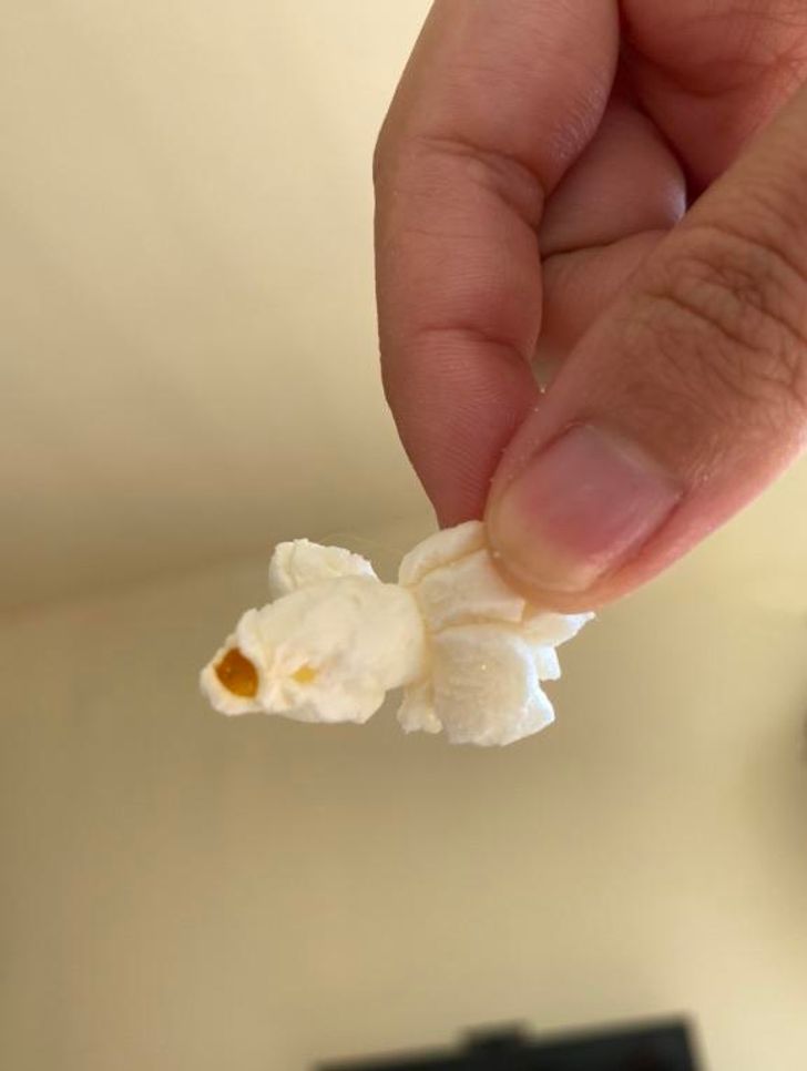 This Popcorn That Looks Like A Fish