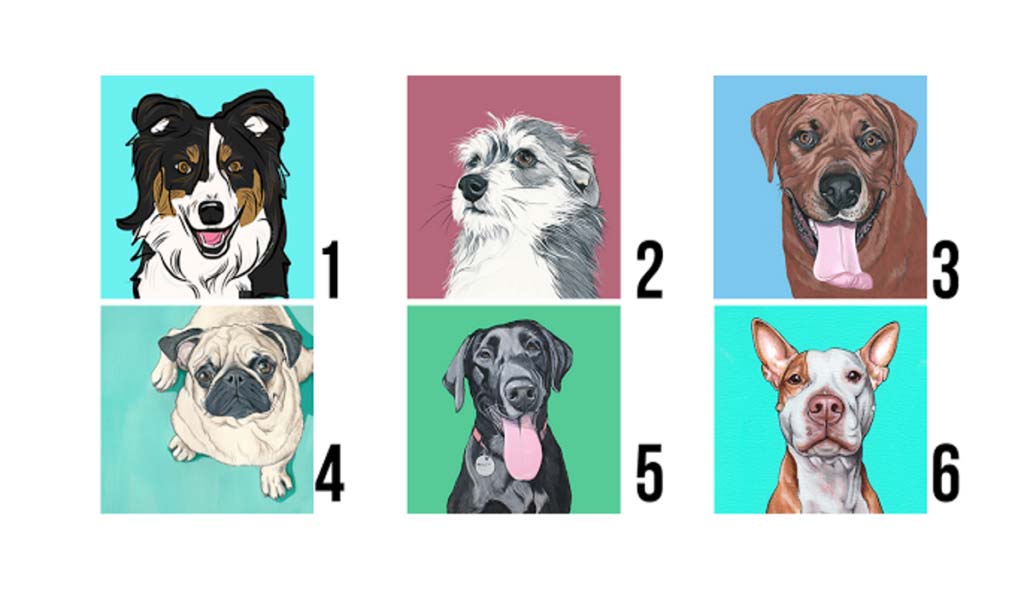 Discover Your Best Quality By Choosing A Dog That Attracts Your Most 1024x597