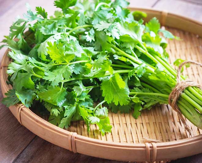 Coriander Health Benefits M