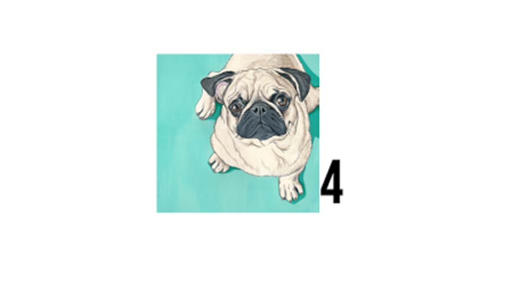Dog4