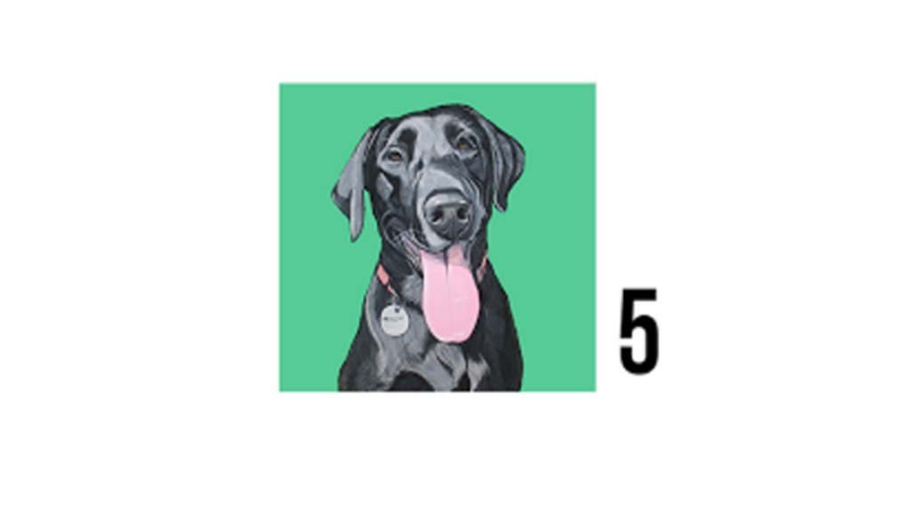 Dog5
