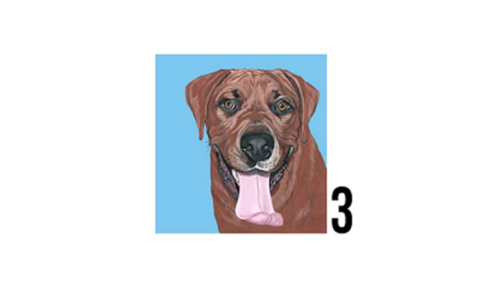 Dong3