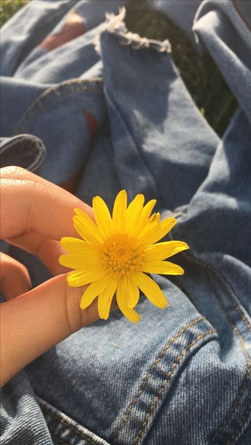 ២
