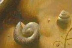 1607588076 672 Thumbnail Width240height160