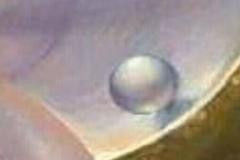 1607588089 101 Thumbnail Width240height160