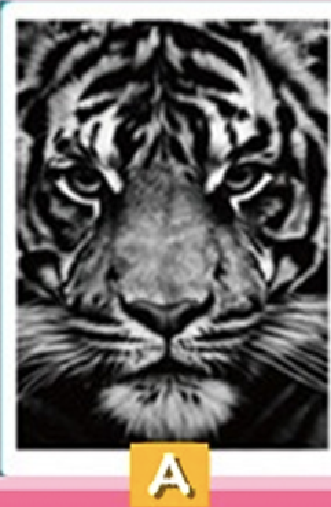 Screen Shot 2020 10 07 At 6.28.22 PM