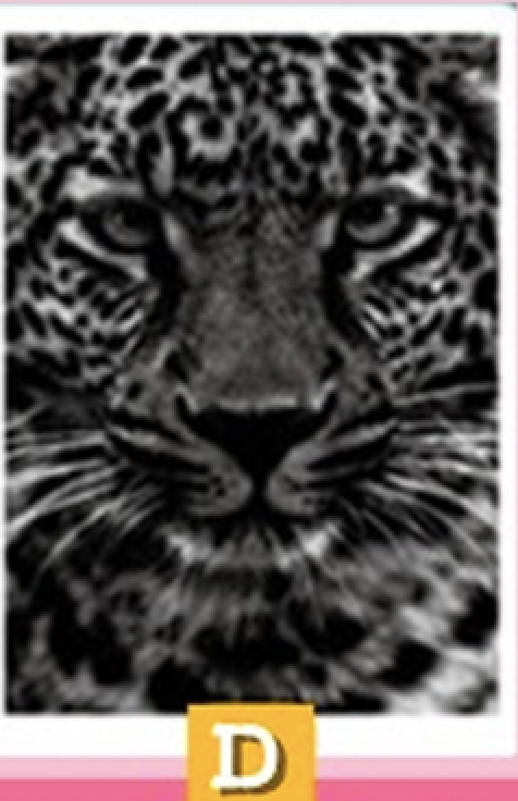 Screen Shot 2020 10 07 At 6.28.40 PM