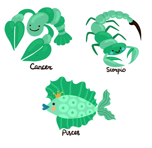 Water_signs
