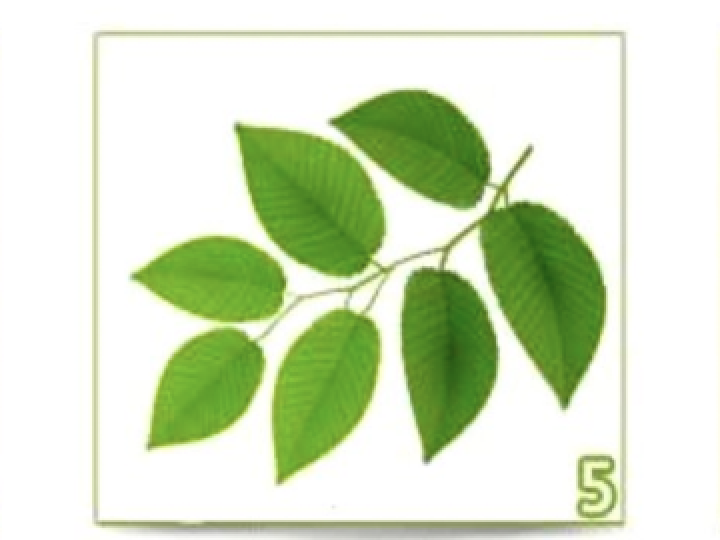 Screen Shot 2020 11 13 At 10.46.50 PM