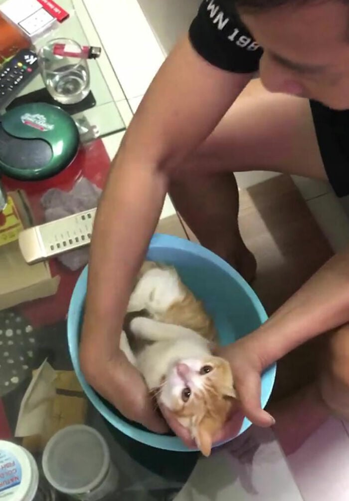 ៦