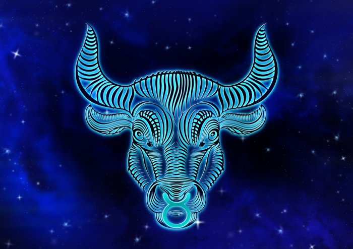2.Taurus