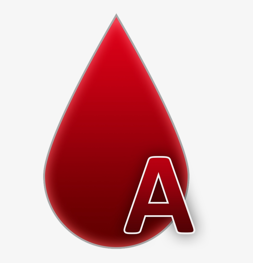 366 3668869_blood Group Blood And Blood Donation A Drop