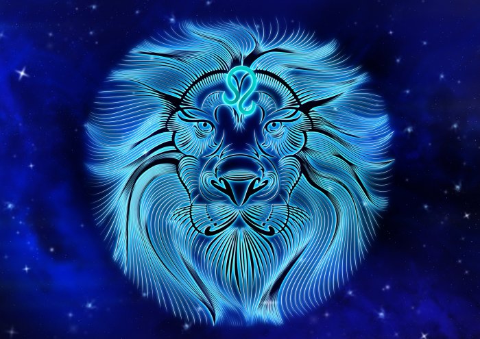 5.Leo