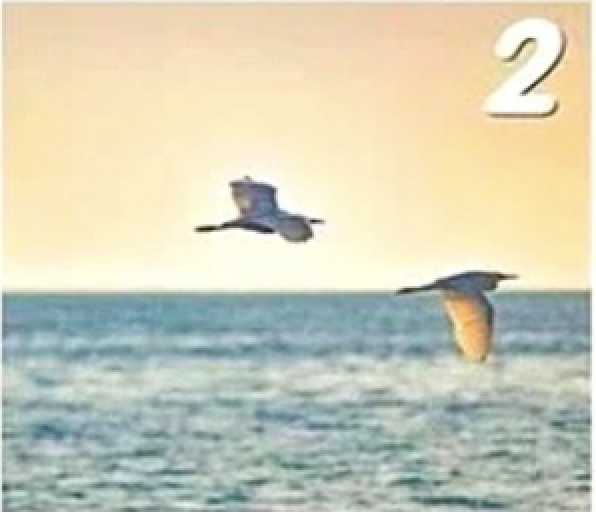 Screen Shot 2020 12 06 At 5.04.01 PM