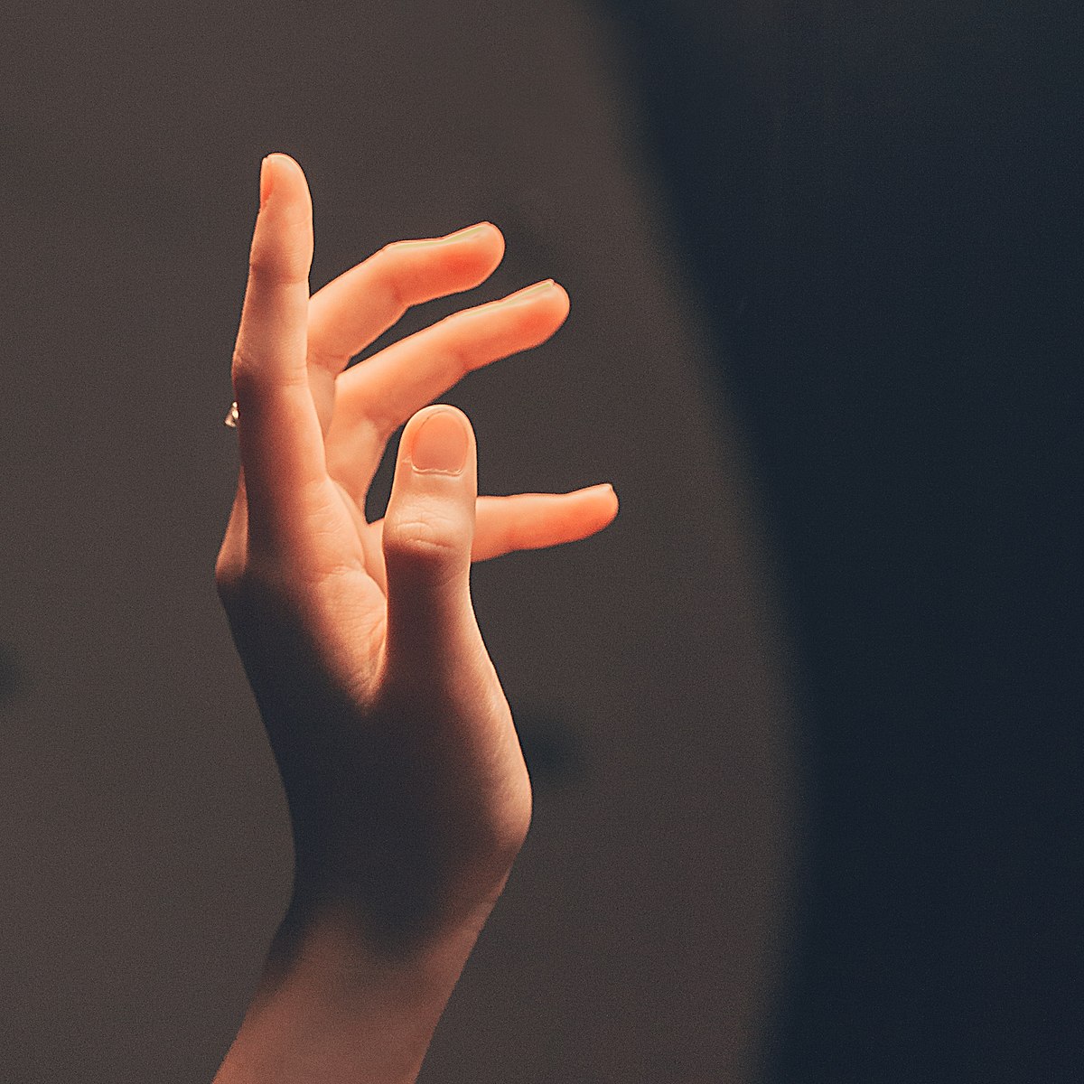 1200px Hand_Model