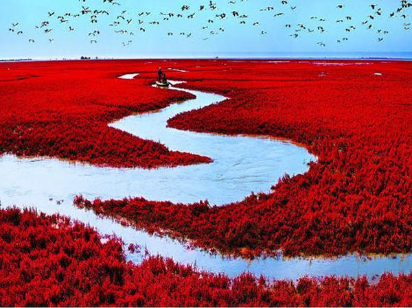 Red Seabeach Panjin China 5