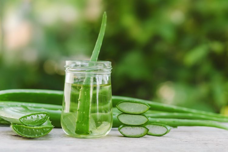 Aloe Vera Puro1 750x500