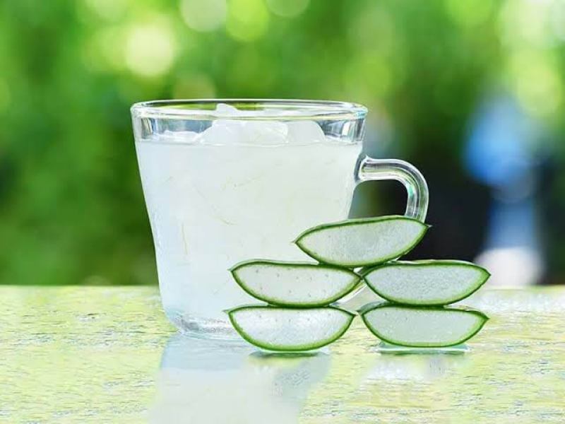 Aloe Vera1