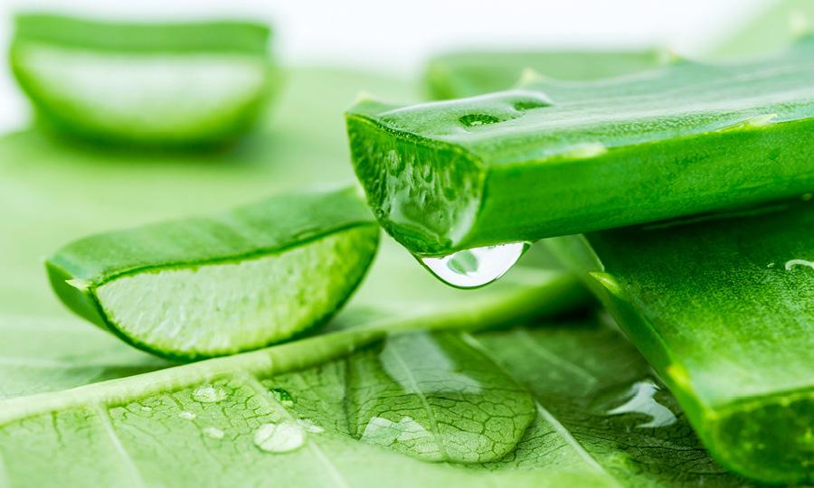 Herbal Dynamics Beauty Aloe Acne_2048x.progressive