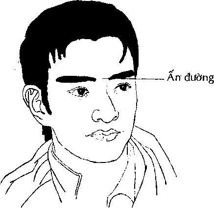 Nhan Tuong Hoc Chi Ra 5 Net Tuong Thuong Co O Nhung Quy Ong Bao Thu 478c28