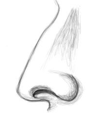 258f0b3e9dc2dfeb6bef4419f408261a Drawing Projects Drawing Tips