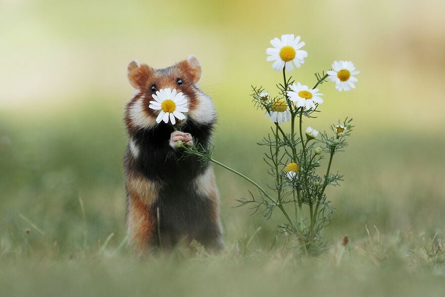 4 60288f9584890__880