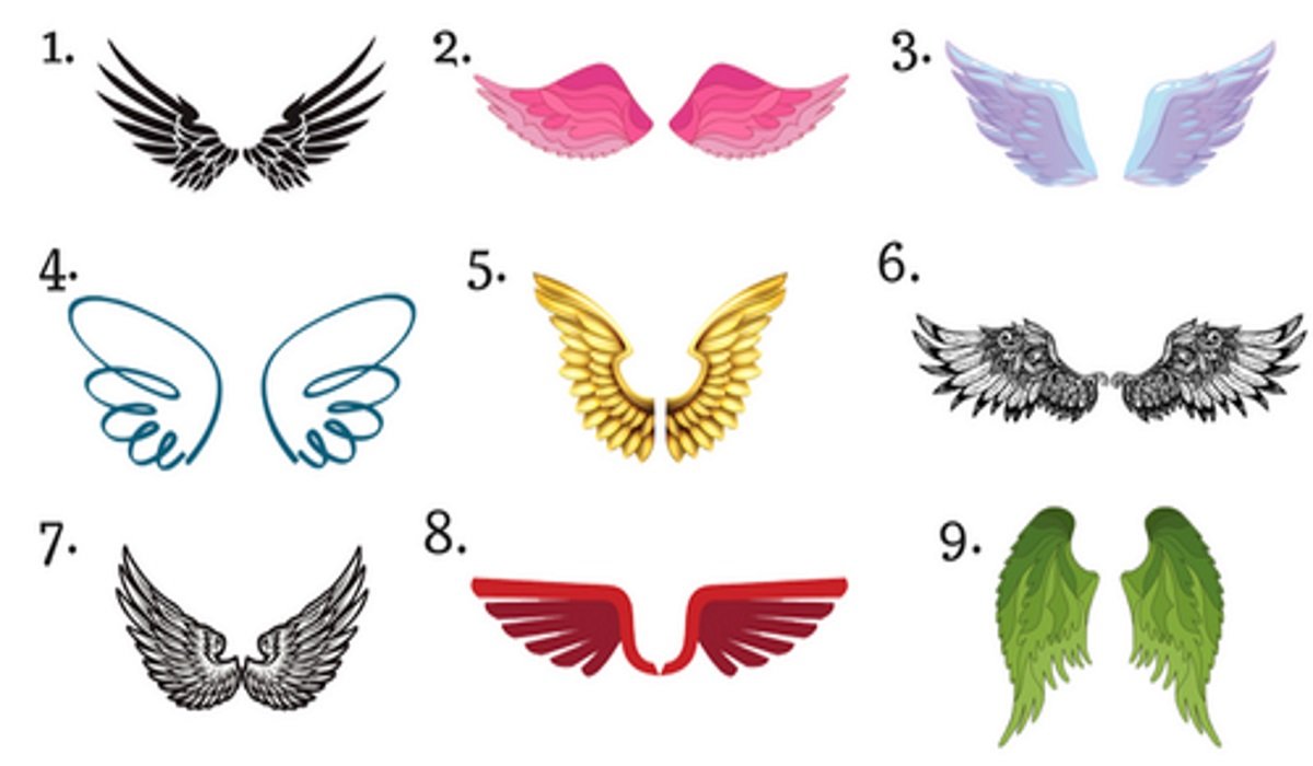 Which Wings Would You Choose Discover The Blessing That Has Been Sent To You