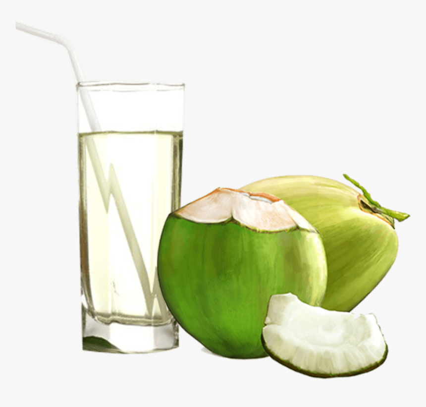 297 2973910_coconut Water Png Transparent Png