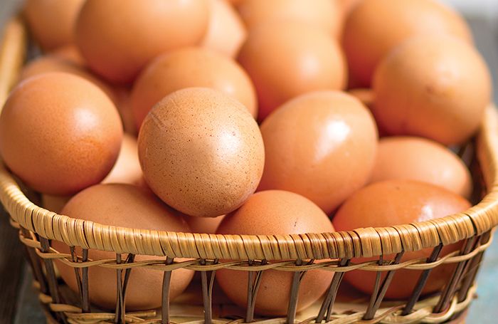 Eggs In A Basket Lightbox