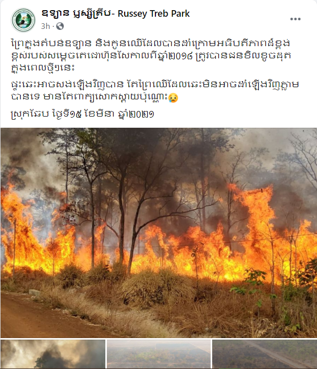 Fire