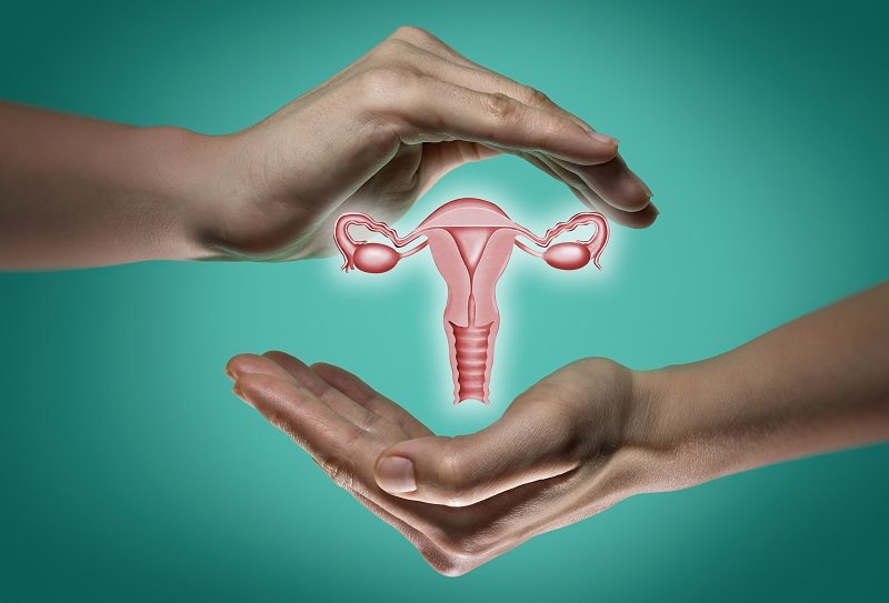 Womens Health Ovarian And Cervical Cancer