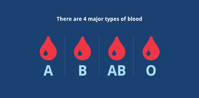 Bloodgraphs1_655